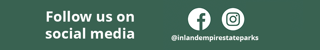 Social media banner